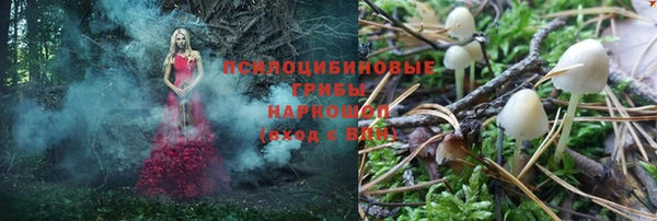ALPHA PVP Баксан